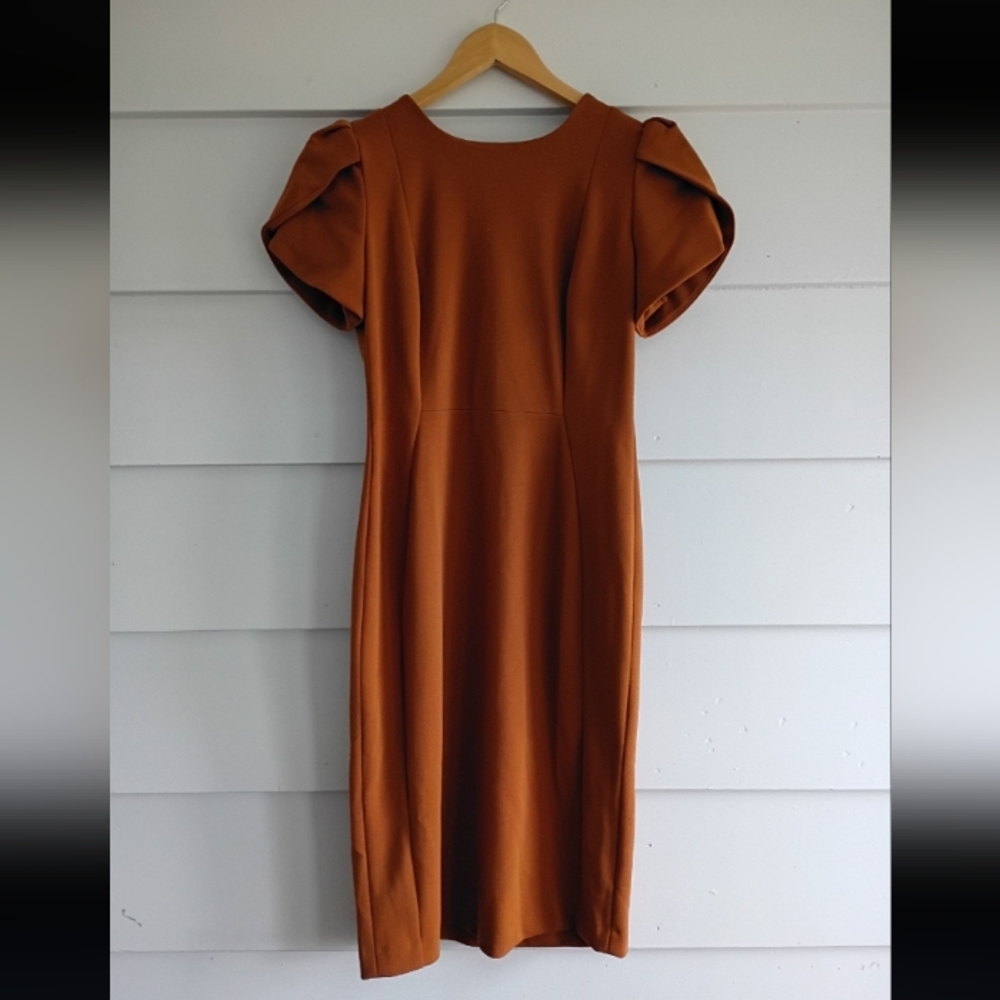 Calvin Klein Tan Puff Sleeve Dress